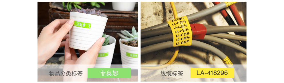 兄弟（brother）TZe-Z111 6mm透明底黑字标签色带 (适用所有兄弟PT系列）-京东