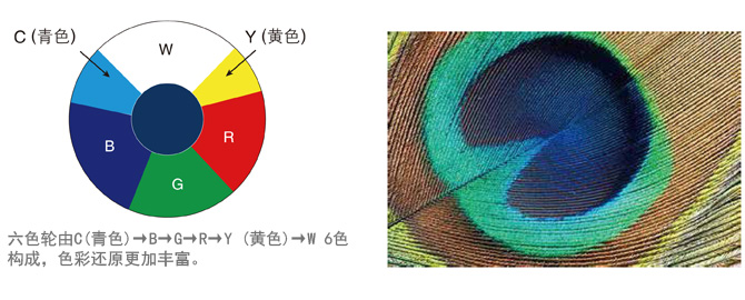 DLP BrilliantColor™技术